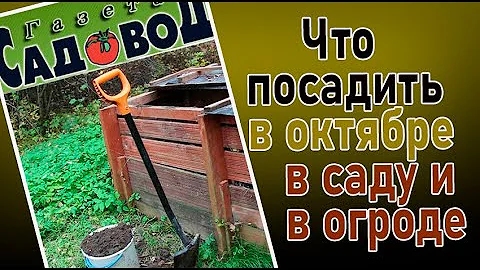 ЧТО ПОСАДИТЬ В ОКТЯБРЕ в саду и в огороде