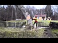 Trädfällning efter stormen längs Strandpromenaden vid Bodele