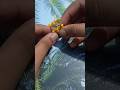 Bracelet for laddu gopal/Radharani #trending #viral #diy #craft #bracelet #shorts ARHOMECRAFT