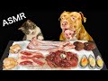 ASMR MUKBANG PITBULL EATING RAW FOODS WITH KITTEN