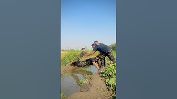 Pakar liya❤️#army #commando007 #pathan007 #ssgcommandofamily #ssgcommando #pakcommando #pakarmy #ssg