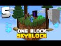 Minecraft Skyblock, But You Only Get ONE BLOCK (#5)