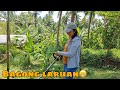 MAGANDA PALA ITO😍🧑‍🌾