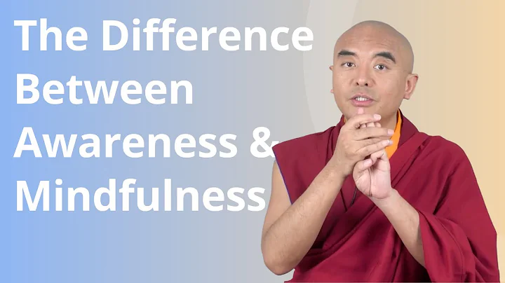 The Difference between Awareness and Mindfulness with Yongey Mingyur Rinpoche