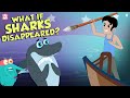 Understanding the Importance of Sharks in the Marine Ecosystem