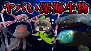 【奇妙】見た目がヤバすぎる深海生物7選