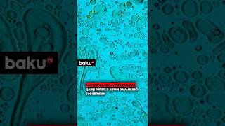 Antibiotiklər Təsirini Itirir, 40 Milyon Insan... Alimlər Zamanla Yarışır