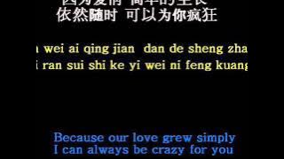 因为爱情Because of LOVE- Eason Chan, Faye Wong ( pinyin / Lyrics )