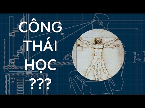 Video: Công Thái Học Là Gì