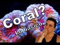 Que es un Coral?