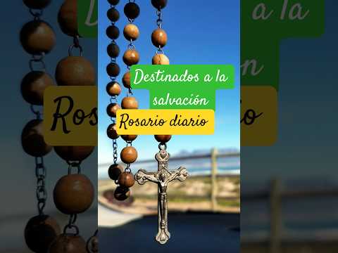 Spiritual Elite Of The Children Of God Those Who Pray The Rosary Destinados A La Salvación Short