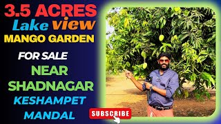 3.5 Acres Mango Garden Farm Land for Sale Near Shadnagar Keshampet Mandal