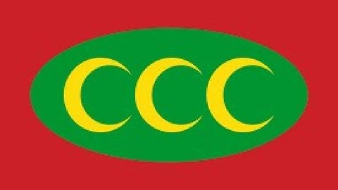 Eu4... But the Ottomans Take Vienna