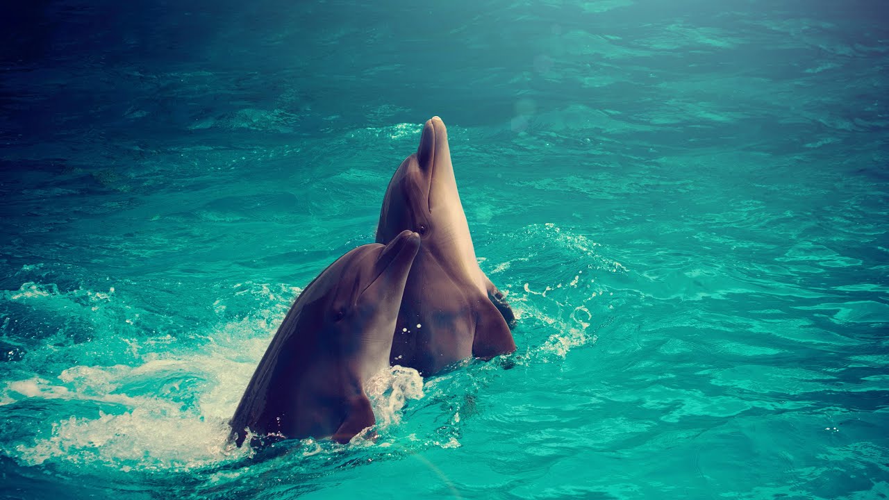 Relaxing Music. Water Sleep Music, Calm Piano Music, Healing Music