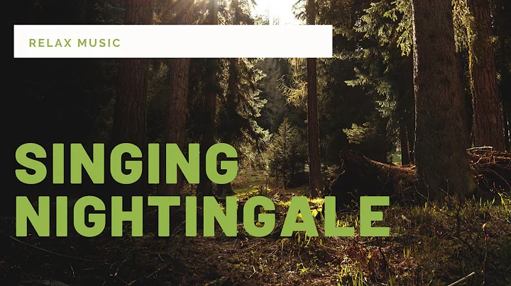 Singing nightingale. The best bird song.