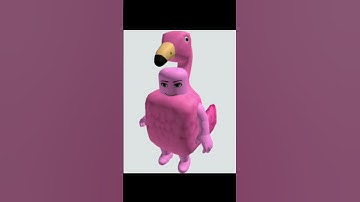 if you play roblox, stop scrolling! (joke)