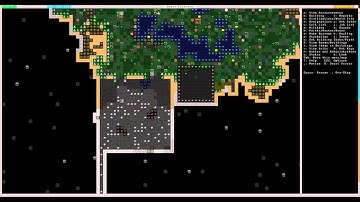 Dwarf Fortress Basics - Hospital