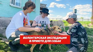 Волонтерский отряд приехал в приют для собак