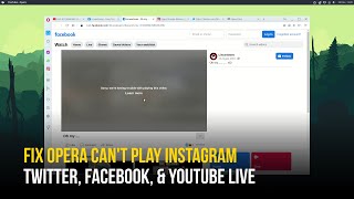 update: fix opera can't play videos on linux | media could not be played problem and more