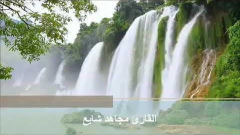 تلاوة للأخ القارىء مجاهد شايع حفظه الله وسدده من شهر الله المحرم لعام 1440هـ