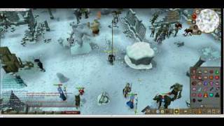 guide and tips to killing aviansie for all levels