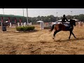 Gaurav pundir during fei jumping 2019