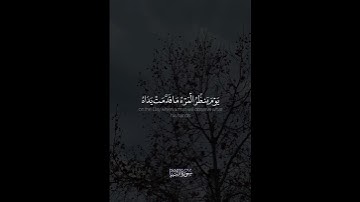 سورة النبأ | القارئ فيصل الهاجري