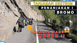 EXTREME Climbing PENANJAKAN I BROMO on a Honda SUPRA!!! ALMOST BROKE DOWN!!!