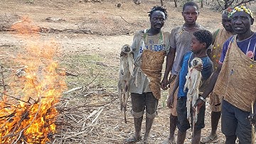 OH NO! MONKEYS Vs HUNTERS IN THE BUSH: HADZABE TRIBE HUNTERS ON DUTY