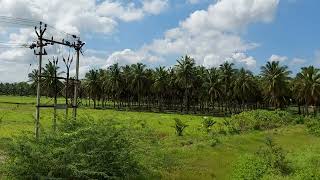 Palani To Pollachi Train Route Beautiful Green Sceneric Route Never miss it see this videos??