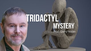 Download Lagu Tridactyl Mystery - Prof. Garry Nolan MP3 Download Lagu Tridactyl Mystery - Prof. Garry Nolan MP3