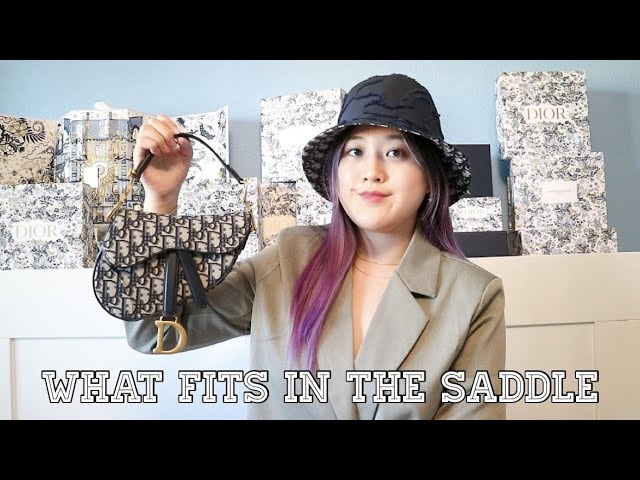 Dior Saddle Bag Unboxing and Review — The Ordinary Wongs