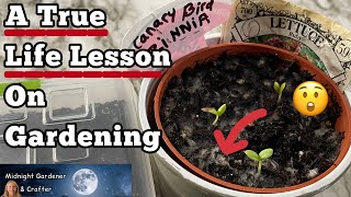 Seed Starting Methods Indoors with Life Altering Lesson on Starting Seeds MISTAKE? Is it COMPOST?