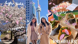 spring time in toronto 🌸🌱 | cherry blossoms, capybaras, happy hour, tacos & margaritas