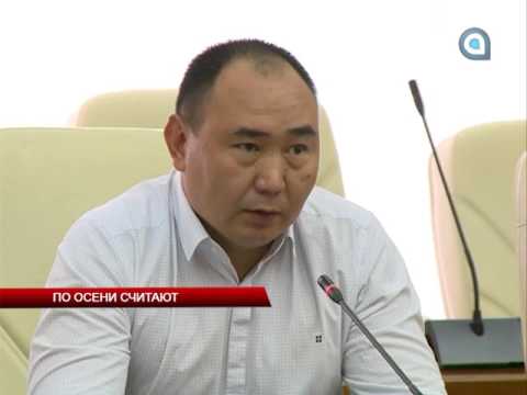 По осени считают