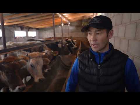 Video: Чакан короо фермасы: Чакан чарбаны баштоонун негиздерин үйрөнүңүз