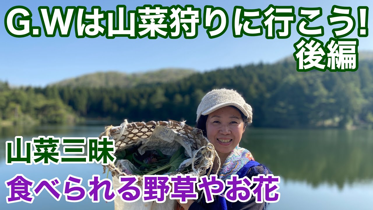 野草の知恵 山菜野草ワークショップで見分け方と採り方を学びました 後編 Youtube