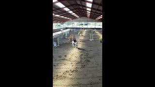 ❤ Concours CSO 04/06/2017 ❤
