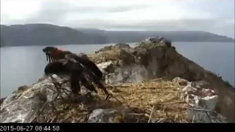 6 27 15 Two Harbors  K-58 and her sticks!