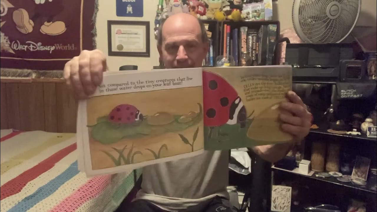 what-s-smaller-than-a-pygmy-shrew-youtube