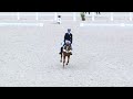 Marbach eventing 2019