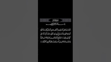 اكتب شيء تؤجر عليه #quran #القرآن_الكريم #ماهر_المعيقلي #سورة_فاطر