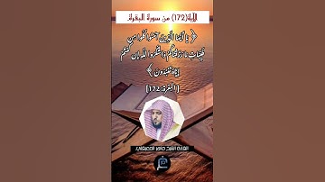 الآية (172)من سورة البقرة//القارئ الشيخ ماهر المعيقلي.