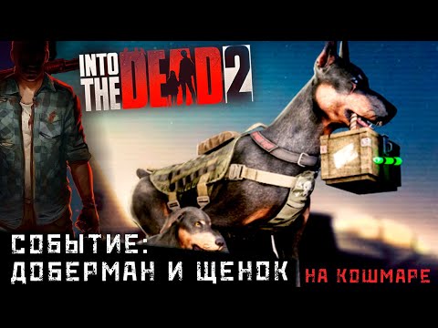 Видео: Into the Dead 2 - Не сюжетное событие: Доберман и щенок. Прохождение на Кошмаре (ios) #30