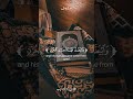 وتولى عنهم وقال يا أسفى على يوسف وتولى عنهم وقال يا أسفى على يوسف