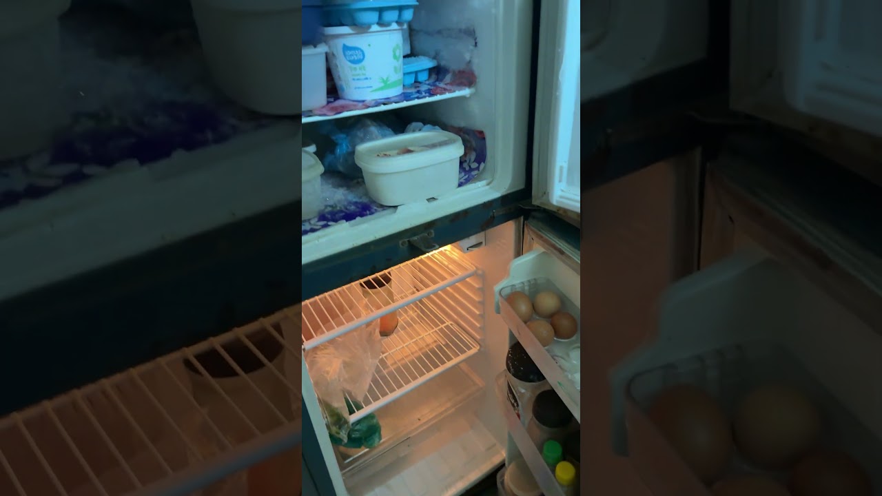 Samsung Freezer