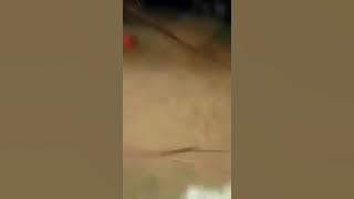 SHARWAN CHOUDHARY JAKHAR BARMER MOB. 9928006511