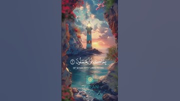 Enjoy Peaceful ❤️💕🕊️ QURAN. | تلاوة القران الكريم