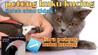 TUTORIAL CARA MEMOTONG KUKU KUCING