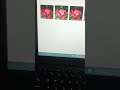 Tailwind CSS Image Filter Effects